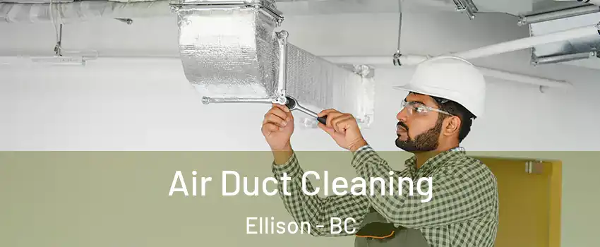  Air Duct Cleaning Ellison - BC