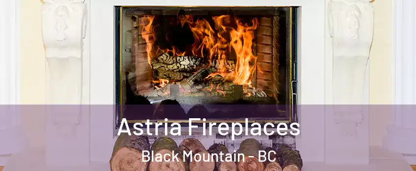  Astria Fireplaces Black Mountain - BC