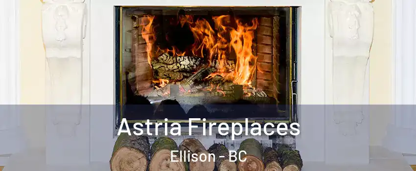  Astria Fireplaces Ellison - BC