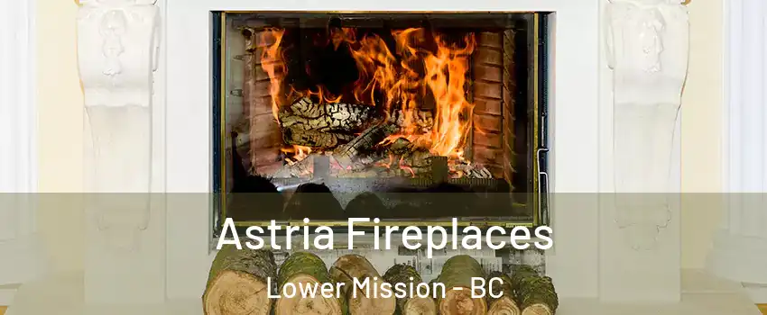  Astria Fireplaces Lower Mission - BC