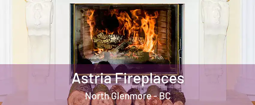  Astria Fireplaces North Glenmore - BC