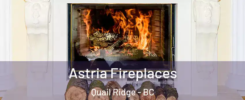  Astria Fireplaces Quail Ridge - BC