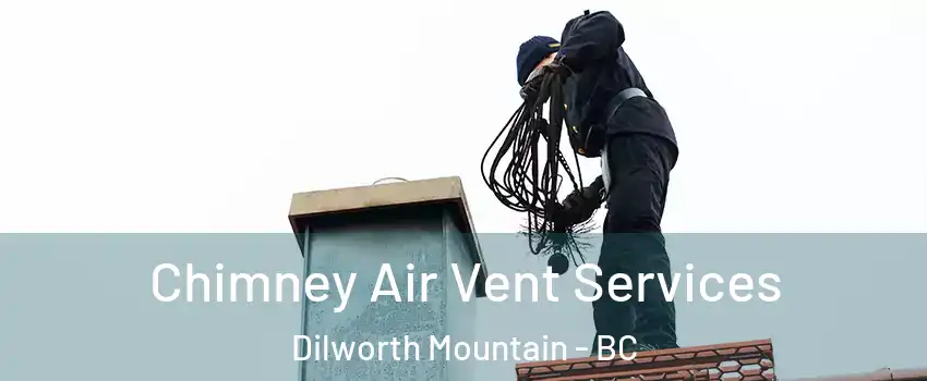  Chimney Air Vent Services Dilworth Mountain - BC