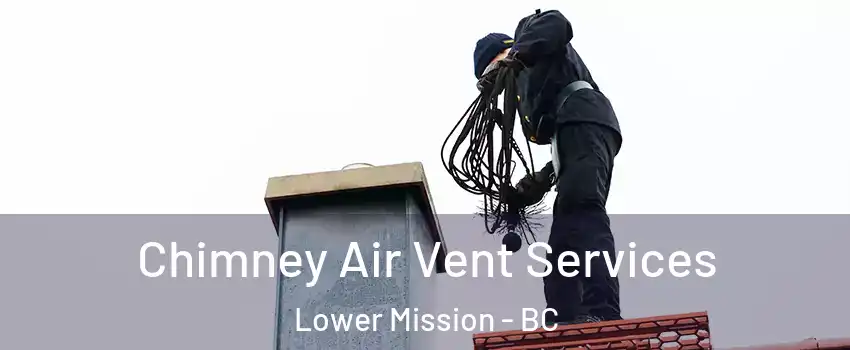  Chimney Air Vent Services Lower Mission - BC