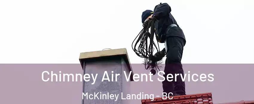  Chimney Air Vent Services McKinley Landing - BC