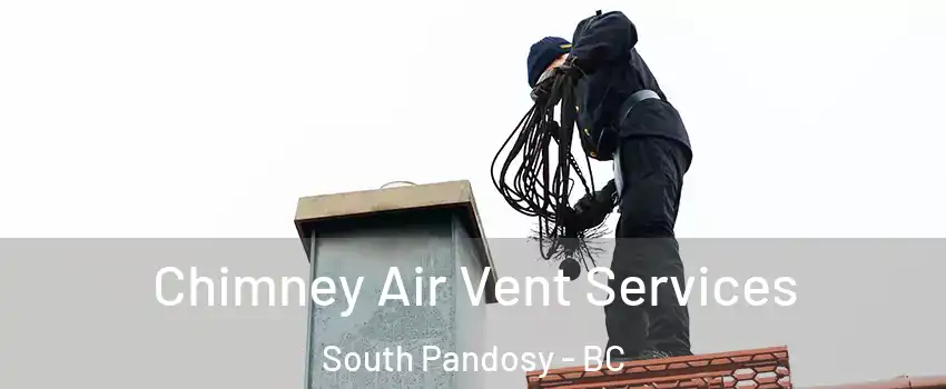  Chimney Air Vent Services South Pandosy - BC