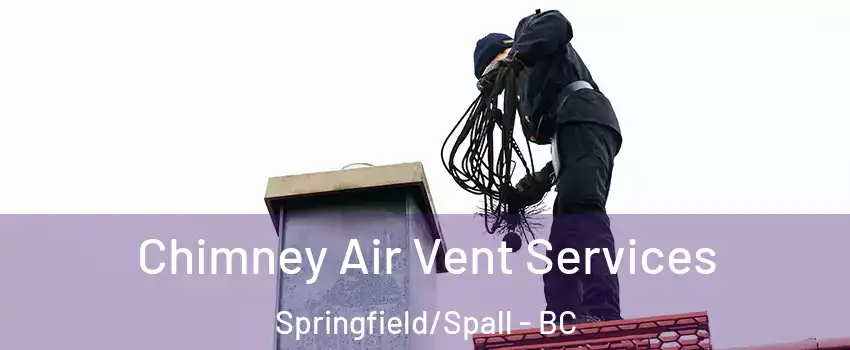  Chimney Air Vent Services Springfield/Spall - BC