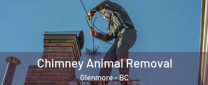 Chimney Animal Removal Glenmore - BC