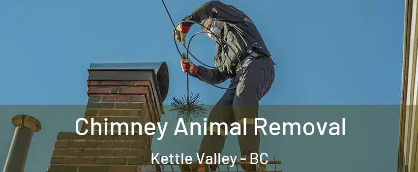 Chimney Animal Removal Kettle Valley - BC