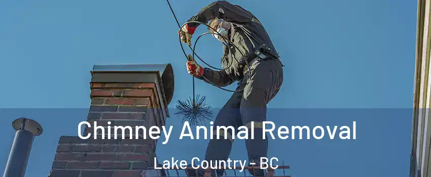 Chimney Animal Removal Lake Country - BC