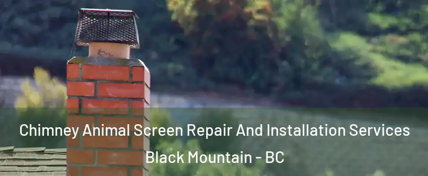  Chimney Animal Screen Repair And Installation Services Black Mountain - BC