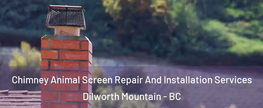  Chimney Animal Screen Repair And Installation Services Dilworth Mountain - BC