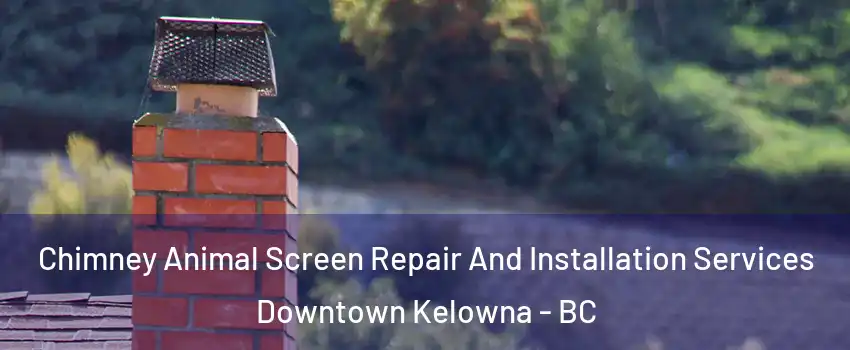  Chimney Animal Screen Repair And Installation Services Downtown Kelowna - BC
