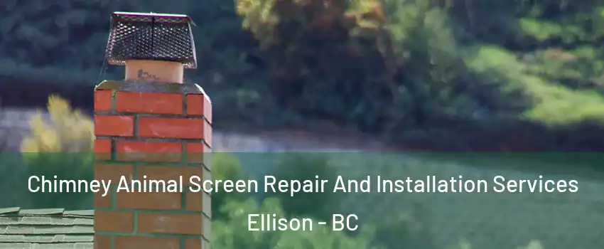  Chimney Animal Screen Repair And Installation Services Ellison - BC