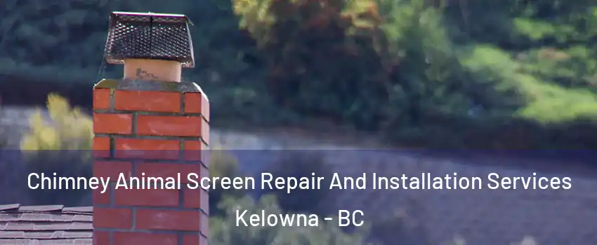  Chimney Animal Screen Repair And Installation Services Kelowna - BC