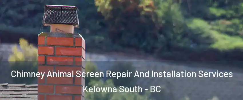  Chimney Animal Screen Repair And Installation Services Kelowna South - BC
