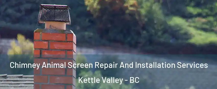  Chimney Animal Screen Repair And Installation Services Kettle Valley - BC