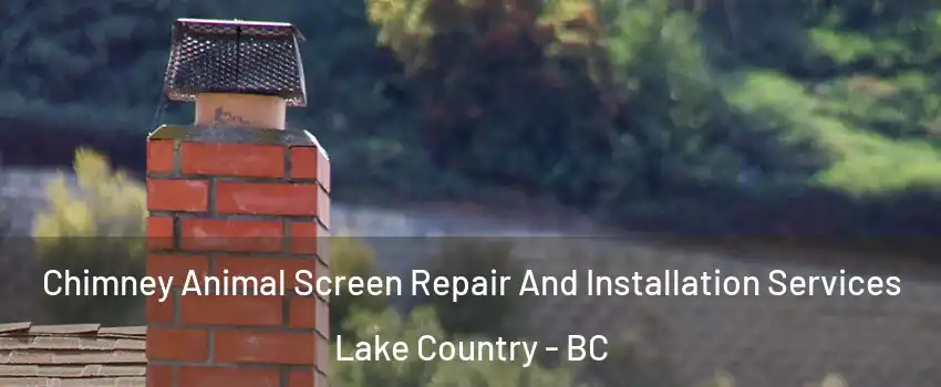  Chimney Animal Screen Repair And Installation Services Lake Country - BC