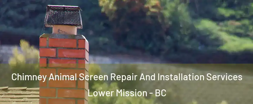  Chimney Animal Screen Repair And Installation Services Lower Mission - BC