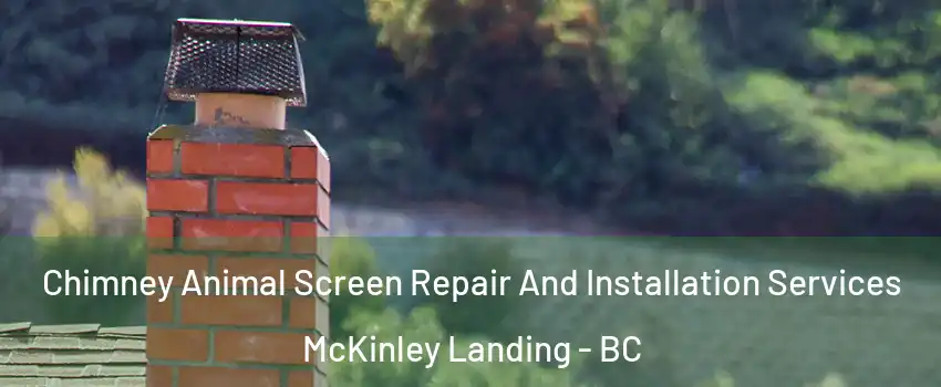  Chimney Animal Screen Repair And Installation Services McKinley Landing - BC
