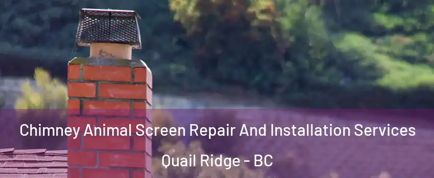  Chimney Animal Screen Repair And Installation Services Quail Ridge - BC