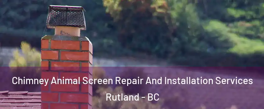  Chimney Animal Screen Repair And Installation Services Rutland - BC