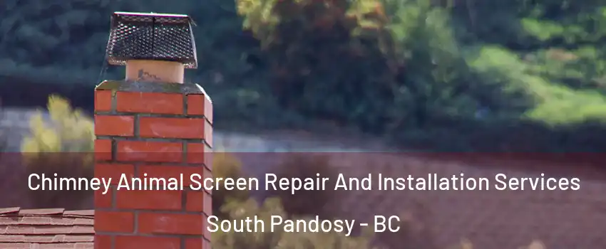  Chimney Animal Screen Repair And Installation Services South Pandosy - BC