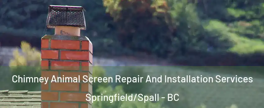  Chimney Animal Screen Repair And Installation Services Springfield/Spall - BC