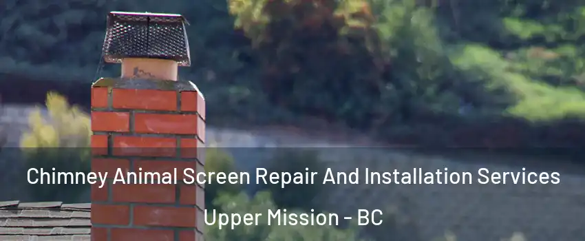  Chimney Animal Screen Repair And Installation Services Upper Mission - BC