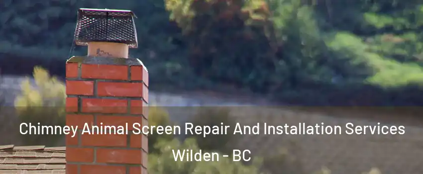  Chimney Animal Screen Repair And Installation Services Wilden - BC