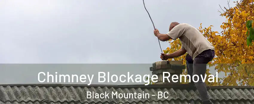  Chimney Blockage Removal Black Mountain - BC