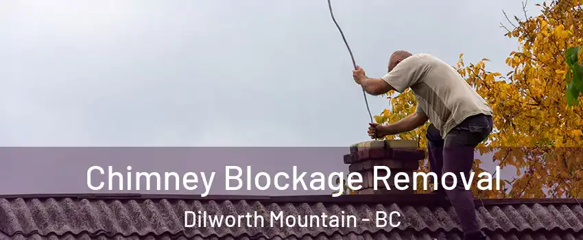  Chimney Blockage Removal Dilworth Mountain - BC