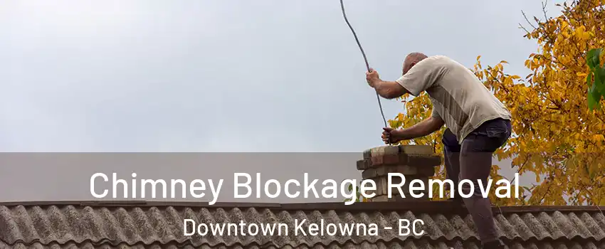  Chimney Blockage Removal Downtown Kelowna - BC