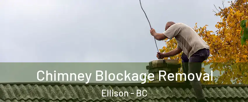  Chimney Blockage Removal Ellison - BC