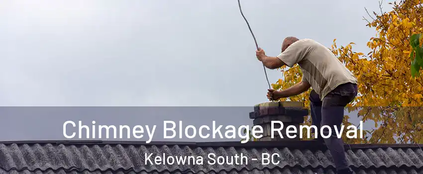  Chimney Blockage Removal Kelowna South - BC