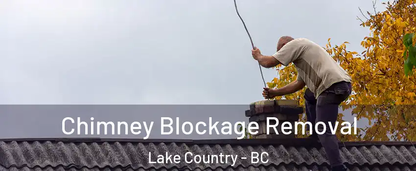  Chimney Blockage Removal Lake Country - BC