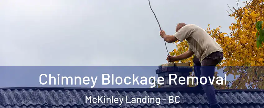  Chimney Blockage Removal McKinley Landing - BC