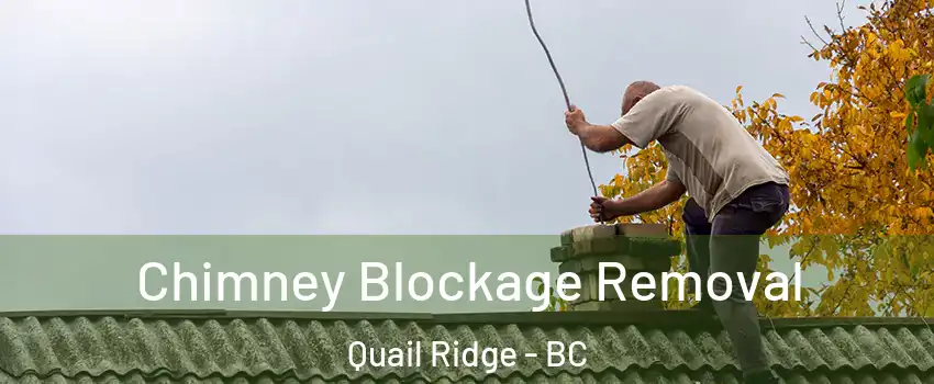 Chimney Blockage Removal Quail Ridge - BC