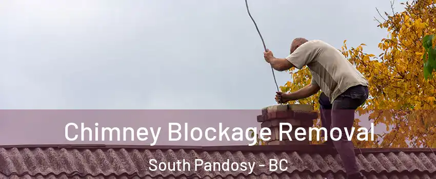  Chimney Blockage Removal South Pandosy - BC
