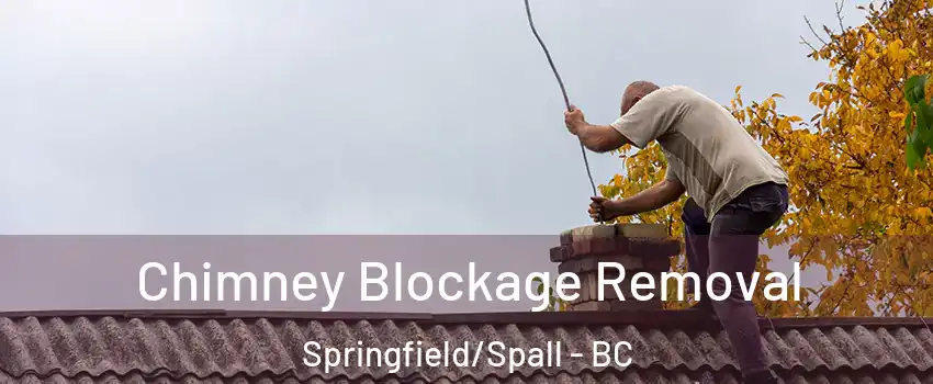  Chimney Blockage Removal Springfield/Spall - BC