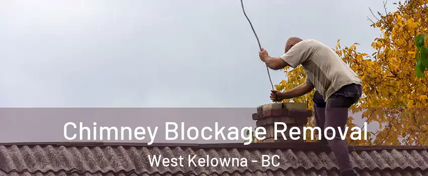  Chimney Blockage Removal West Kelowna - BC