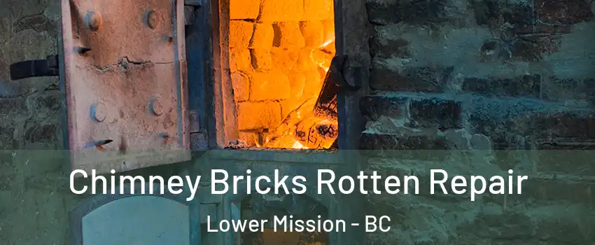  Chimney Bricks Rotten Repair Lower Mission - BC