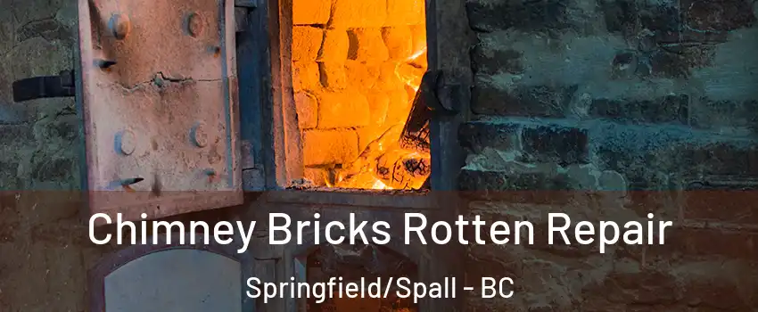  Chimney Bricks Rotten Repair Springfield/Spall - BC