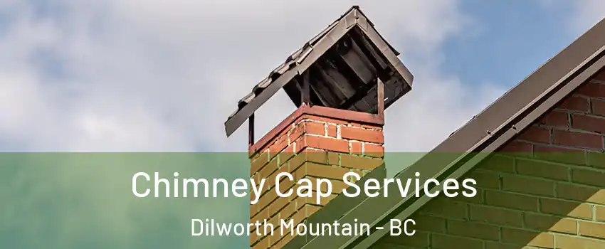  Chimney Cap Services Dilworth Mountain - BC