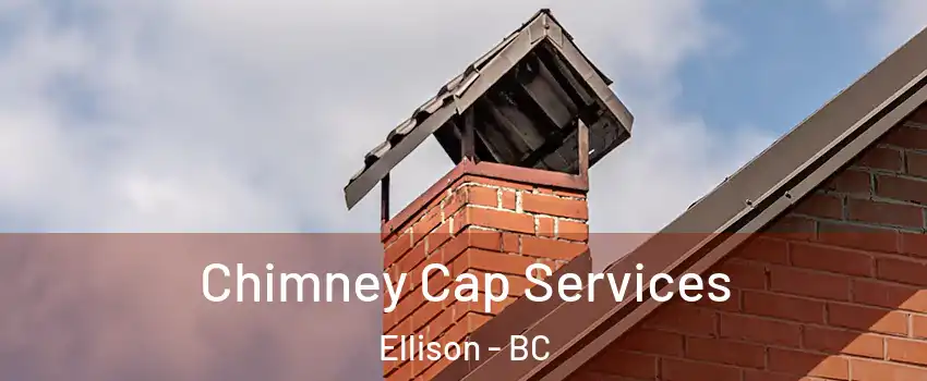  Chimney Cap Services Ellison - BC