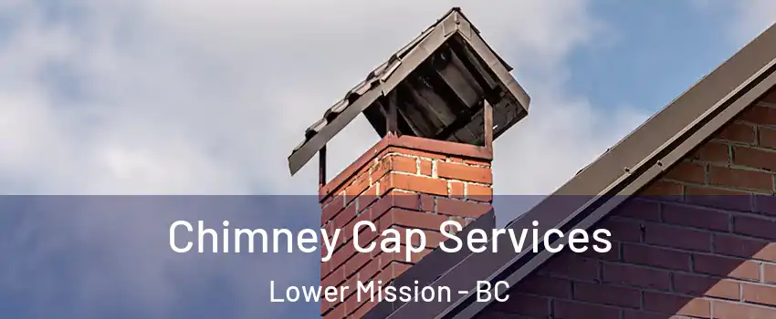  Chimney Cap Services Lower Mission - BC