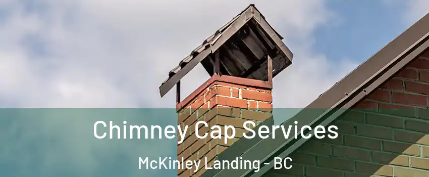  Chimney Cap Services McKinley Landing - BC