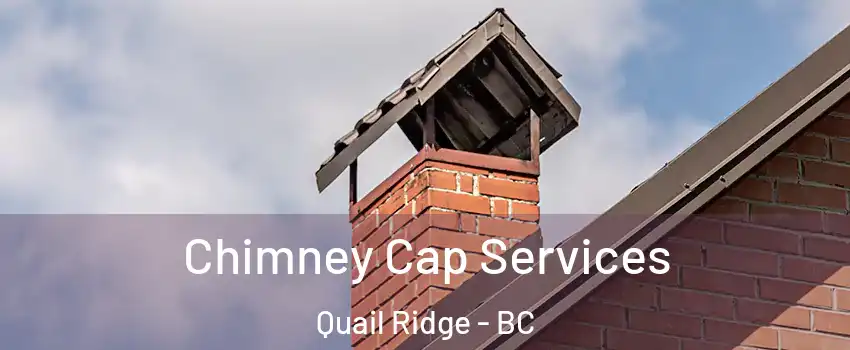  Chimney Cap Services Quail Ridge - BC