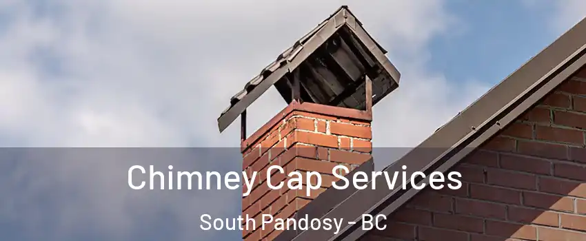  Chimney Cap Services South Pandosy - BC