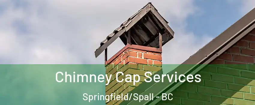  Chimney Cap Services Springfield/Spall - BC